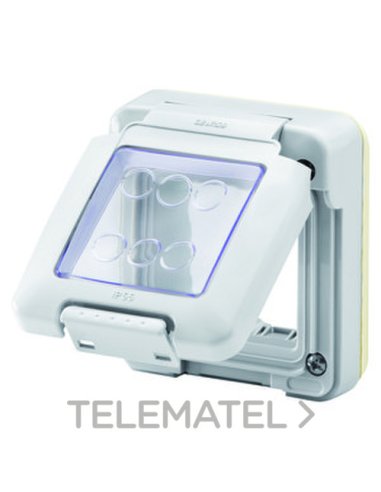 COMBI IN - FUNDA ESTANCA - 2 MÓDULOS - SYSTEM - IP55 - GRIS RAL 7035 GEWISS GW27401 (EMBALAJE DE 3 UNIDADES)