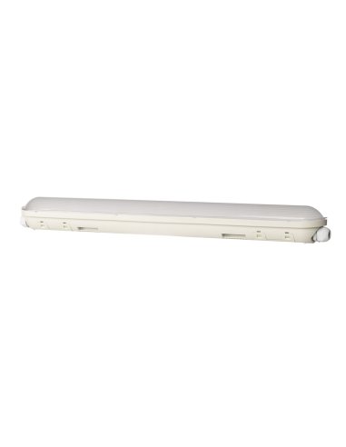 Luminaria estanca DP 600 E 21W 865 VW IP65 GY 2835lm 50000 horas 5 años de garantía LED_LED 4099854080340