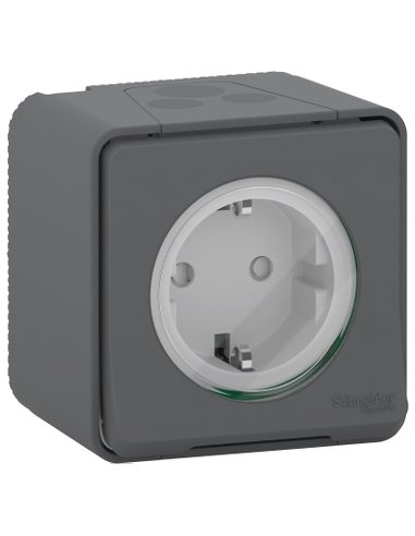 Mureva Styl Enchufe de superficie Estanco IP55 Gris SCHNEIDER ELECTRIC MUR36731