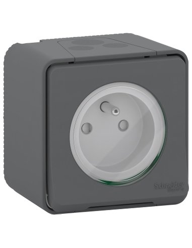 Mureva Styl Base francesa 2P+TTF para instalación en superficie IP55  color Gris - A001492243 SCHNEIDER ELECTRIC MUR36030