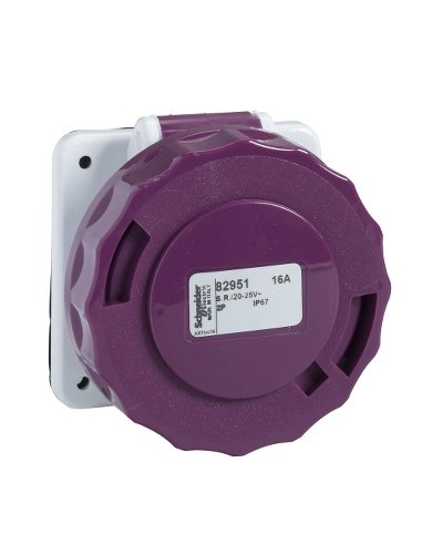 PratiKa industrial socket - 16 A - 2P - 20...25 V AC - IP67 - A001117488 SCHNEIDER ELECTRIC 82951