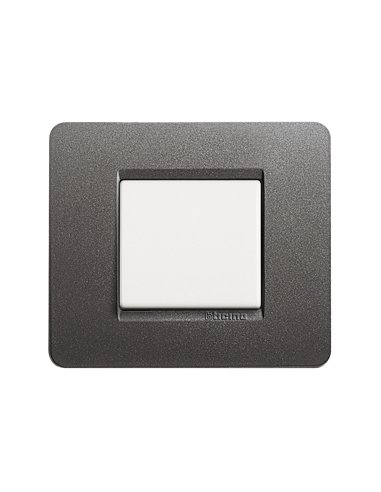 Placa embellecedora Màtix de color Acero - 2 módulos - A000614268 BTICINO AM4802IR