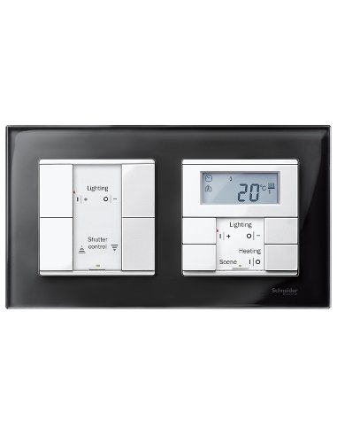 Marco 2 elem. elegance cristal Negro - A001135046 SCHNEIDER ELECTRIC MTN404203