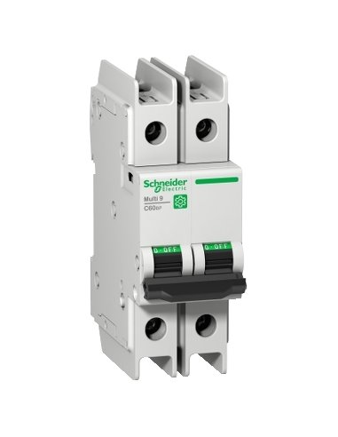 Multi 9 - C60BP - MCB - 2P - 2 A - C Curve - 480Y/277 V - 10 kA - UL 489 - A001577306 SCHNEIDER ELECTRIC M9F42202