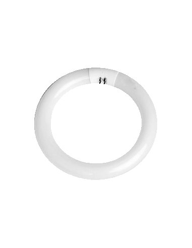 TUBO FLUORESCENTE CIRCULAR 22W 865K - A001701572 ROBLAN TF22865