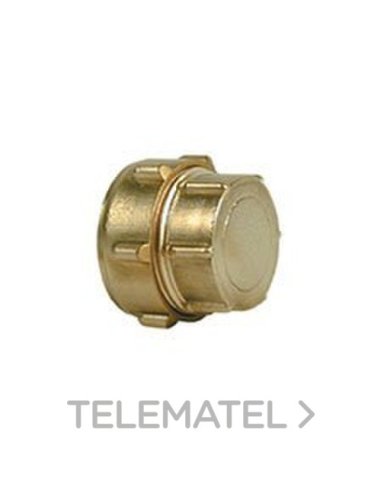 TAPÓN 323 DIÁMETRO 18MM - A001722507 IBP ATCOSA F--5020323-- (EMBALAJE DE 10 UNIDADES)